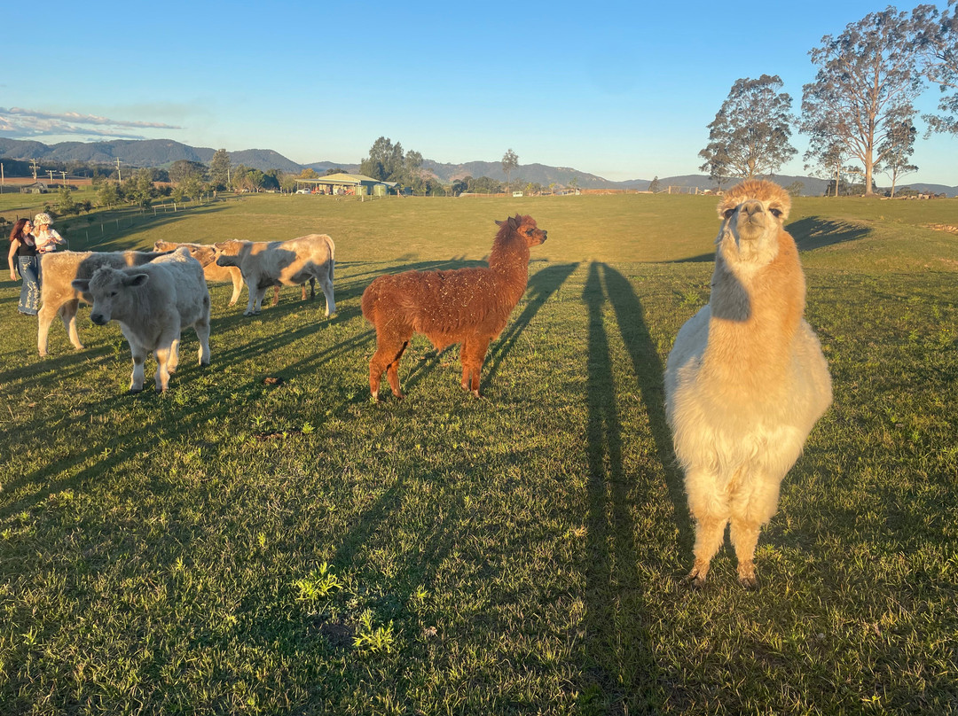 Gloucester River Wines-Gloucester必去景点