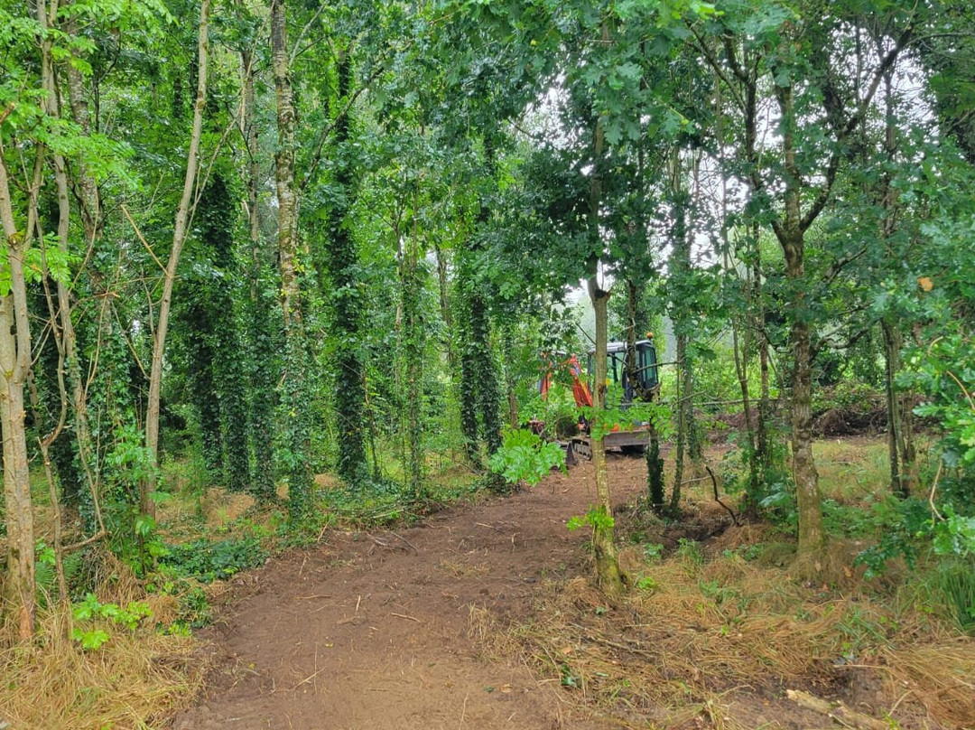 Murtagh's Organic Farm-Mullingar必去景点