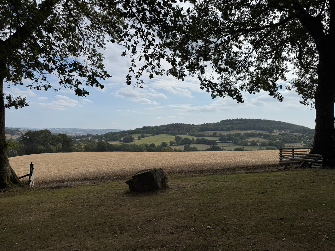 Burrow Farm Gardens-Dalwood必去景点