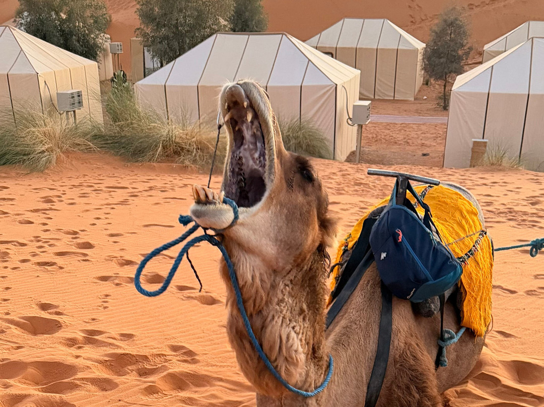Travel Link Morocco-舍夫沙万必去景点