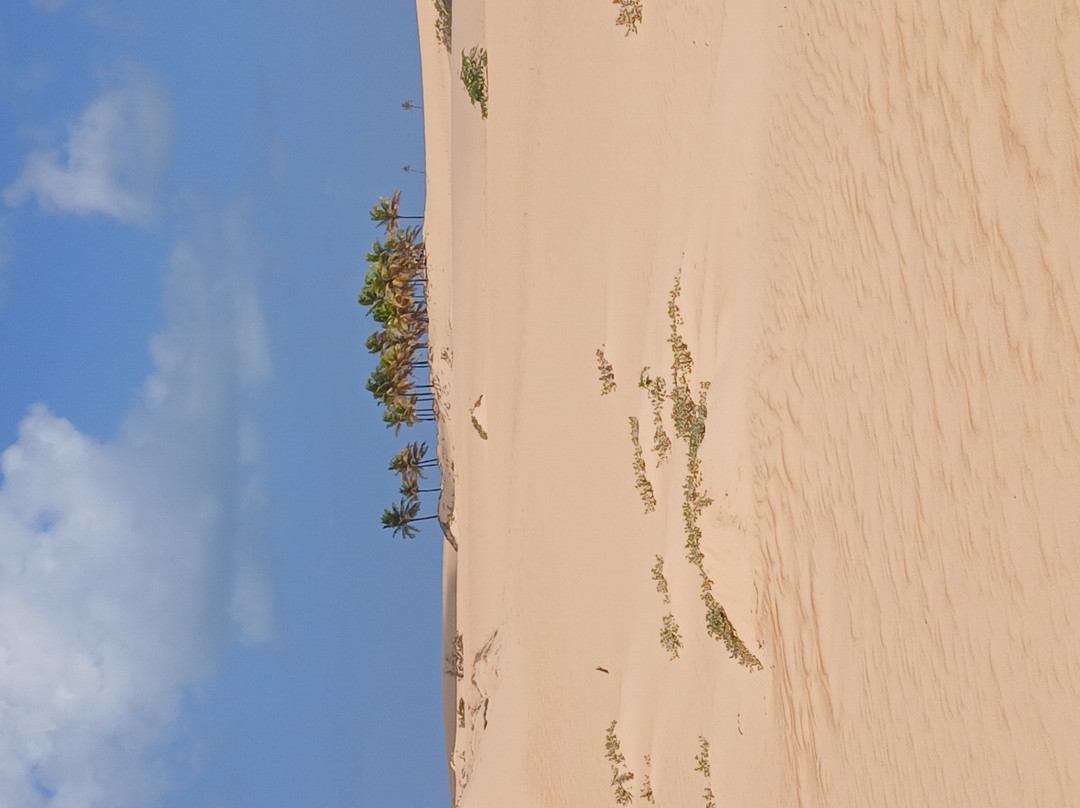 Foz do Rio São Francisco-Piacabucu必去景点