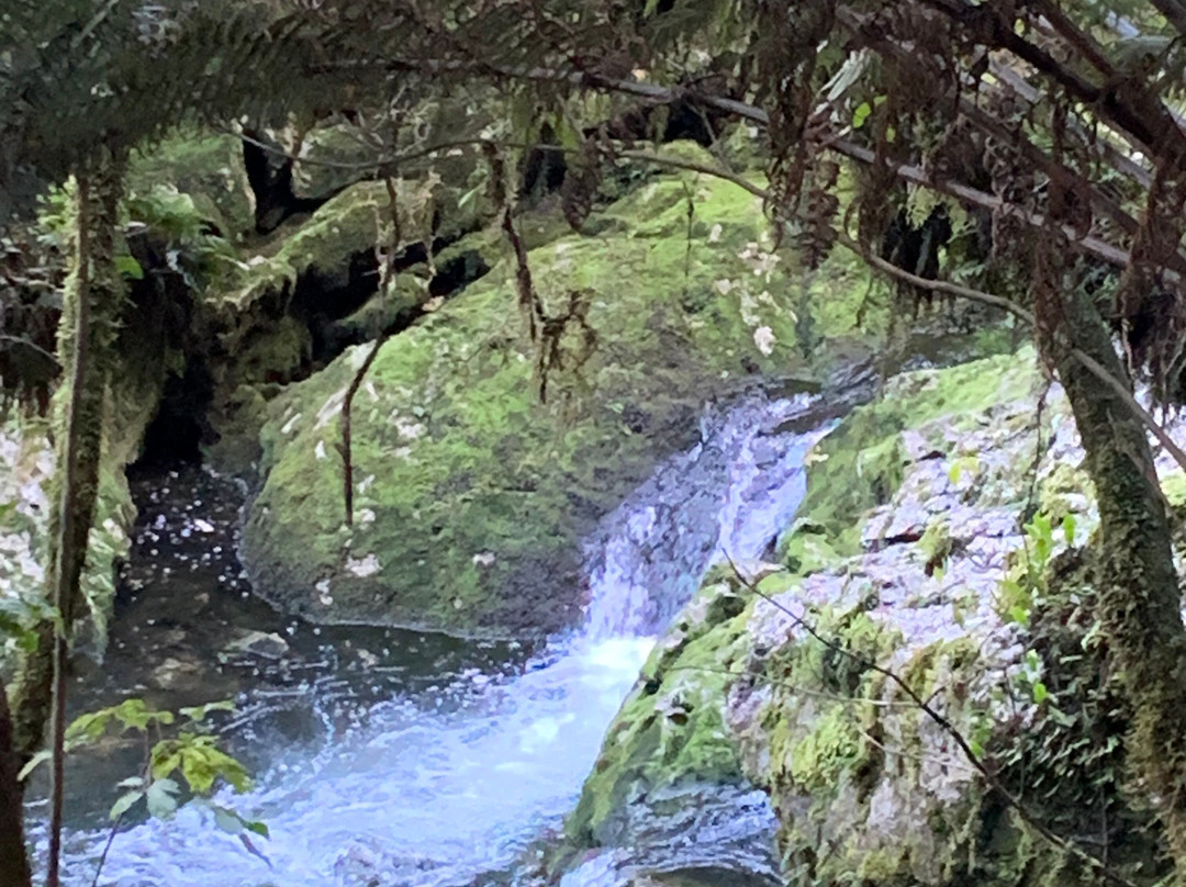 Riwaka Resurgence-Kahurangi National Park必去景点