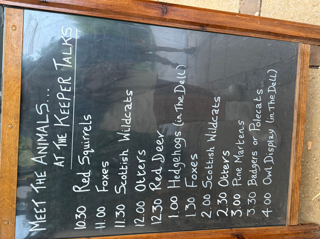 British Wildlife Centre-Lingfield必去景点