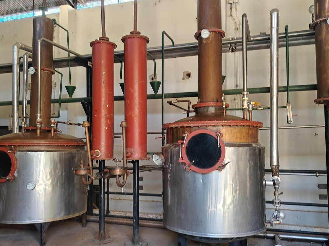 Destileria Pisco Mistral-Pisco Elqui必去景点