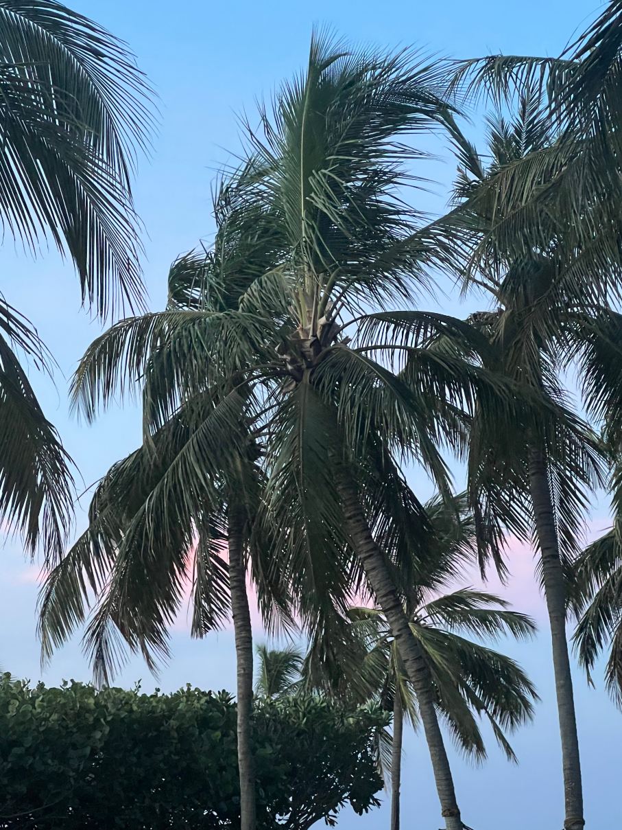 悠阁·翡翠湾（帕西库达）-旅行者