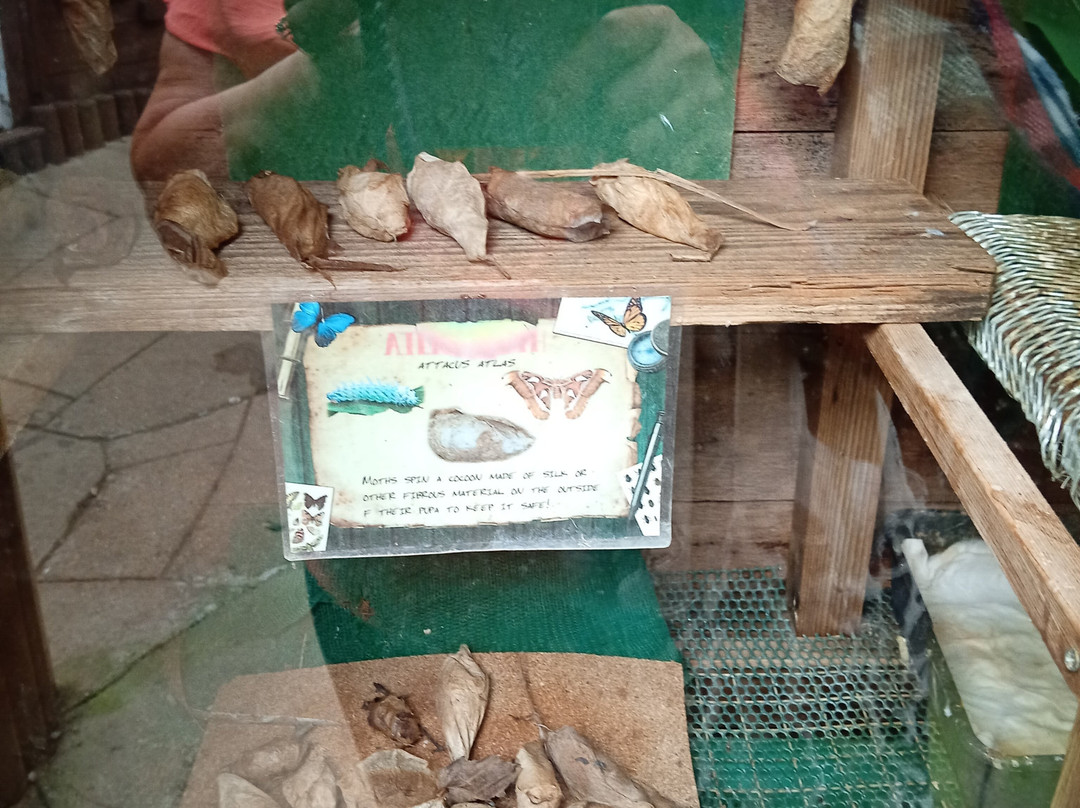 Bugtopia Hornsea Zoo-Hornsea必去景点