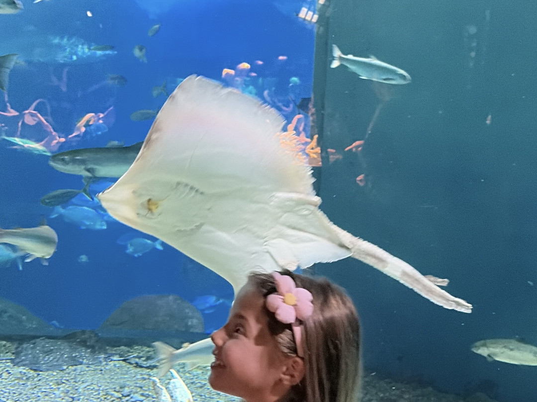 Bioparc Acuario De Gijón-希洪必去景点