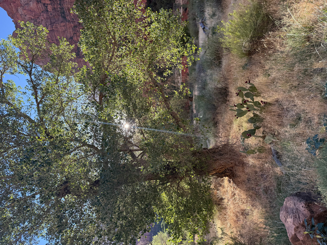 Pa'rus Trail-锡安国家公园必去景点
