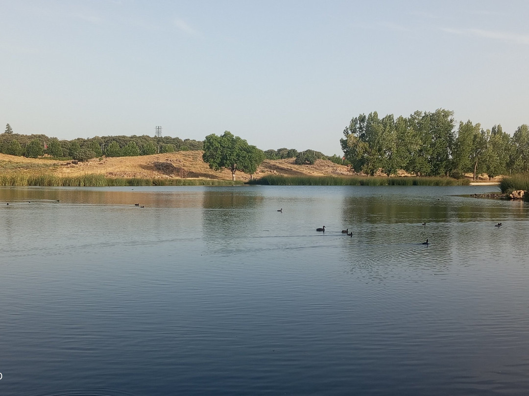 Ifrane National Park-Ifrane必去景点