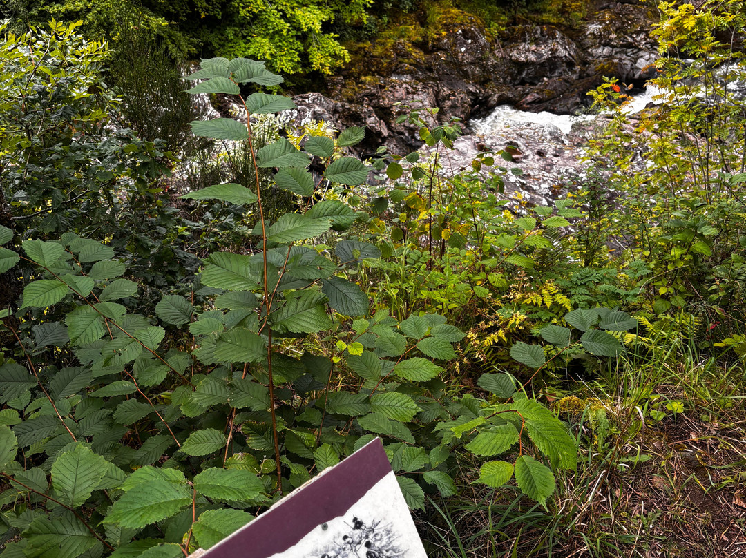 Killiecrankie-皮特洛赫里必去景点