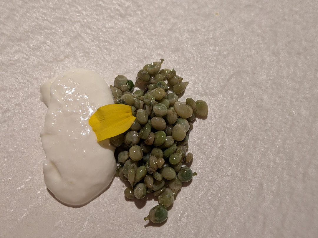 伊利亚特约热吉亚酒店主图