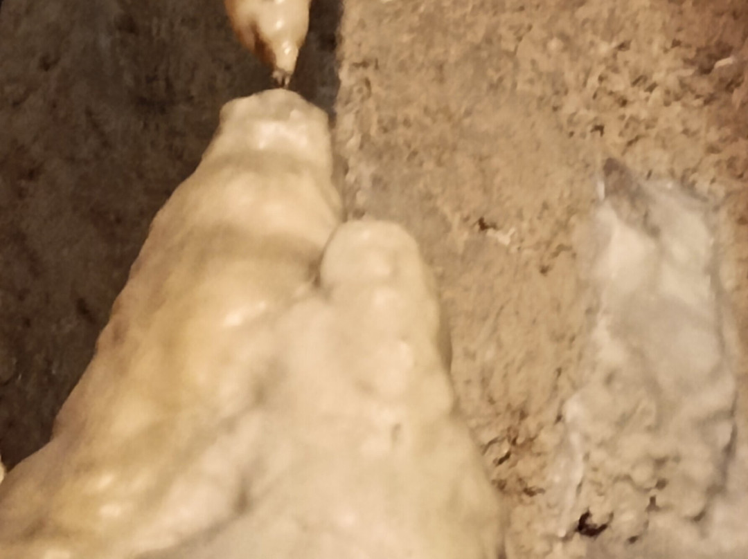 Grotte di Equi-Equi Terme必去景点