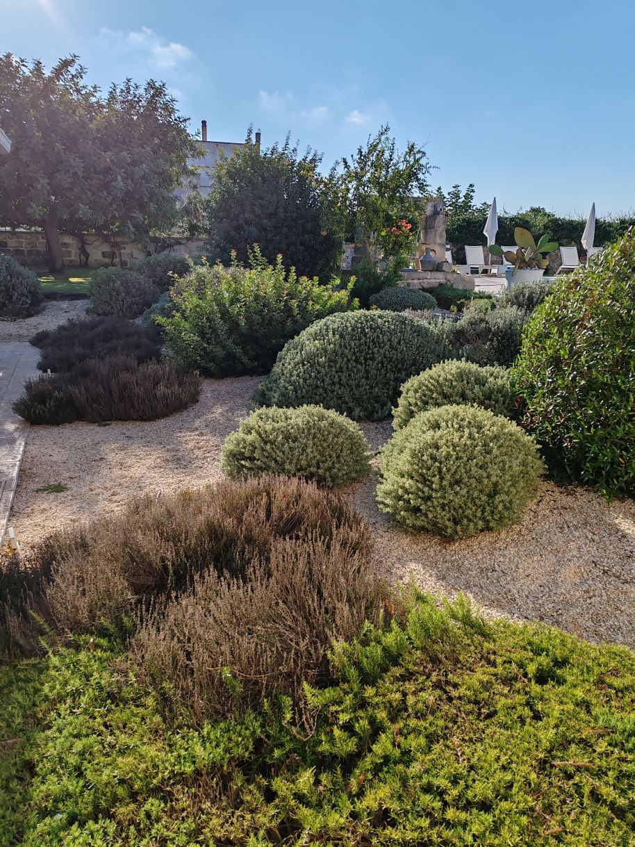 Il Giardino Del Tiglio-旅行者