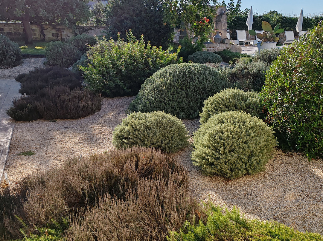 Il Giardino Del Tiglio主图