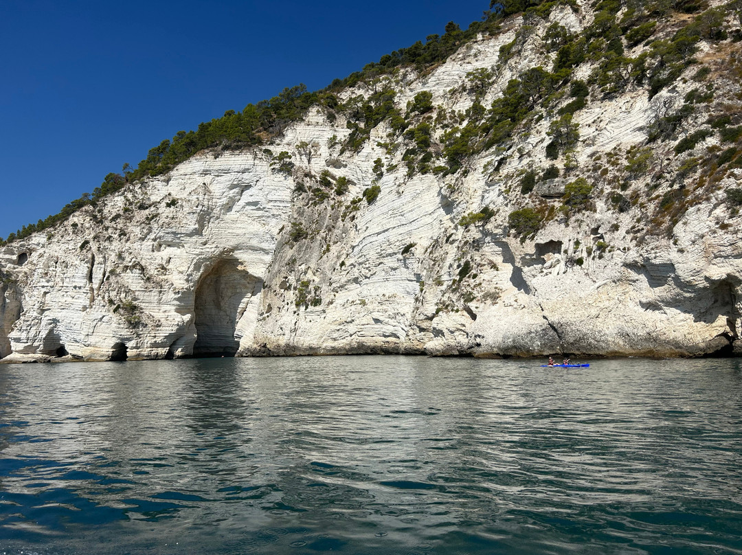 Costante Nicola Agenzia Tour Delle Grotte-佩斯基奇必去景点