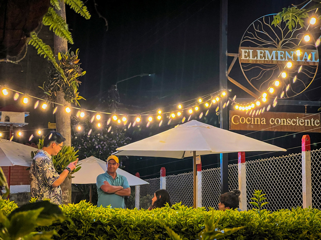 Elemental Cocina Consciente