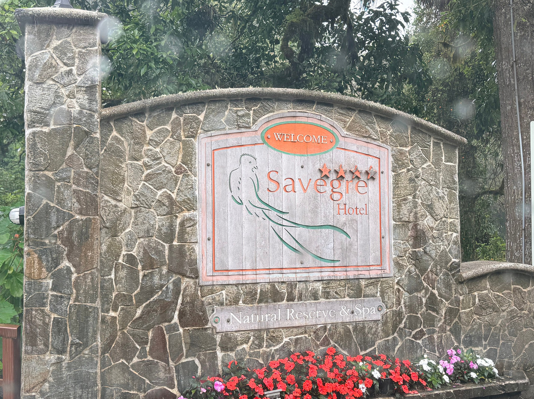 Savegre 酒店自然保护区暨水疗中心主图
