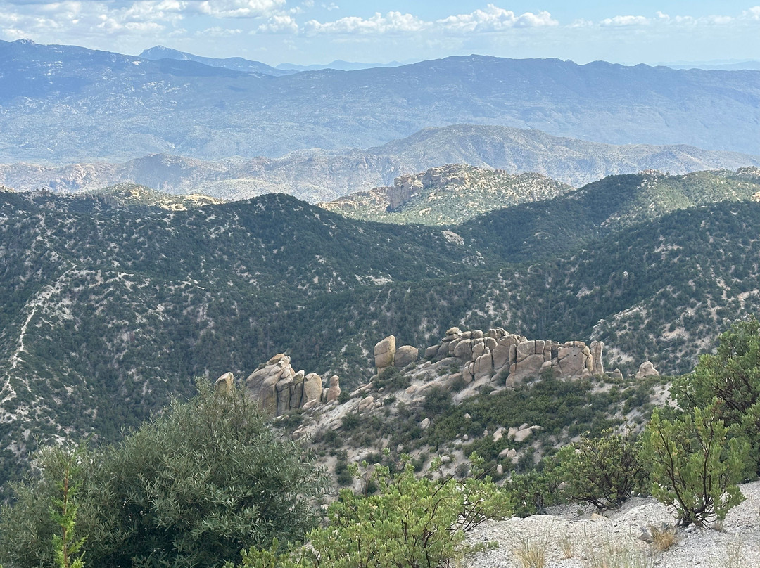 Mt. Lemmon Scenic Byway-图森必去景点