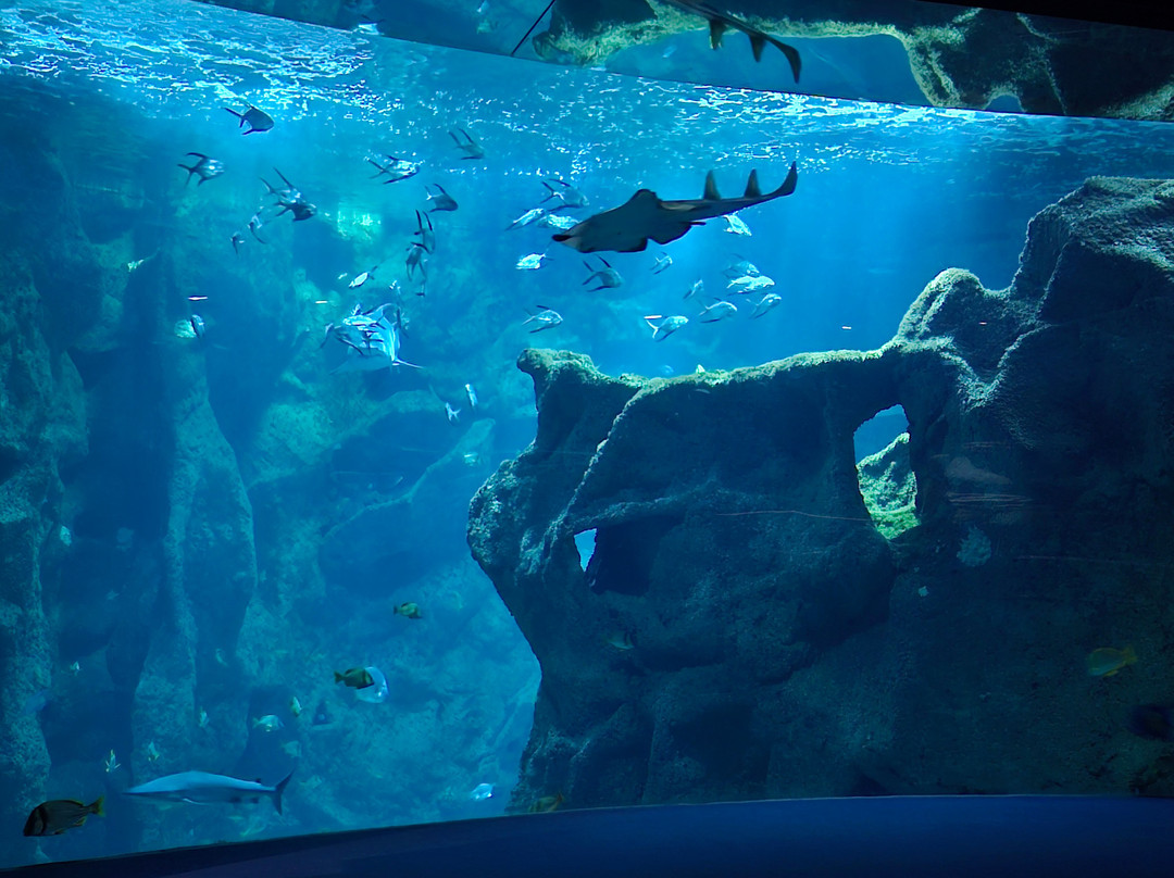 Aquarium La Rochelle-拉罗谢尔必去景点