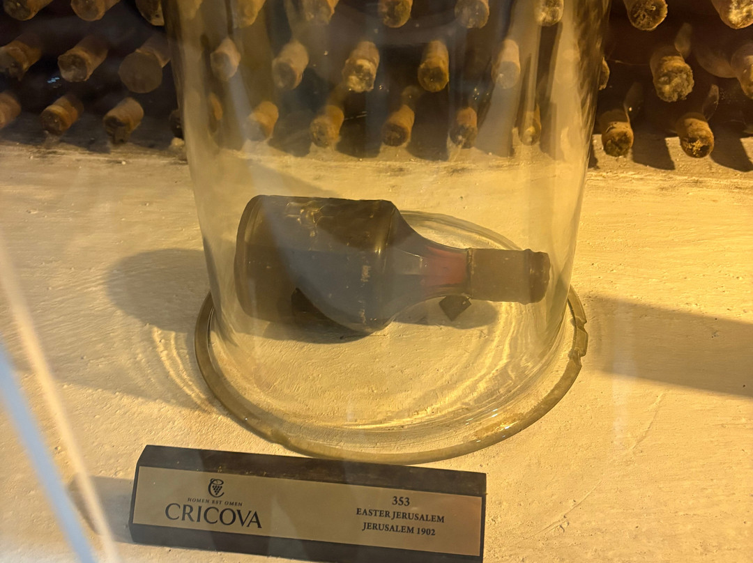 Cricova Winery-Cricova必去景点