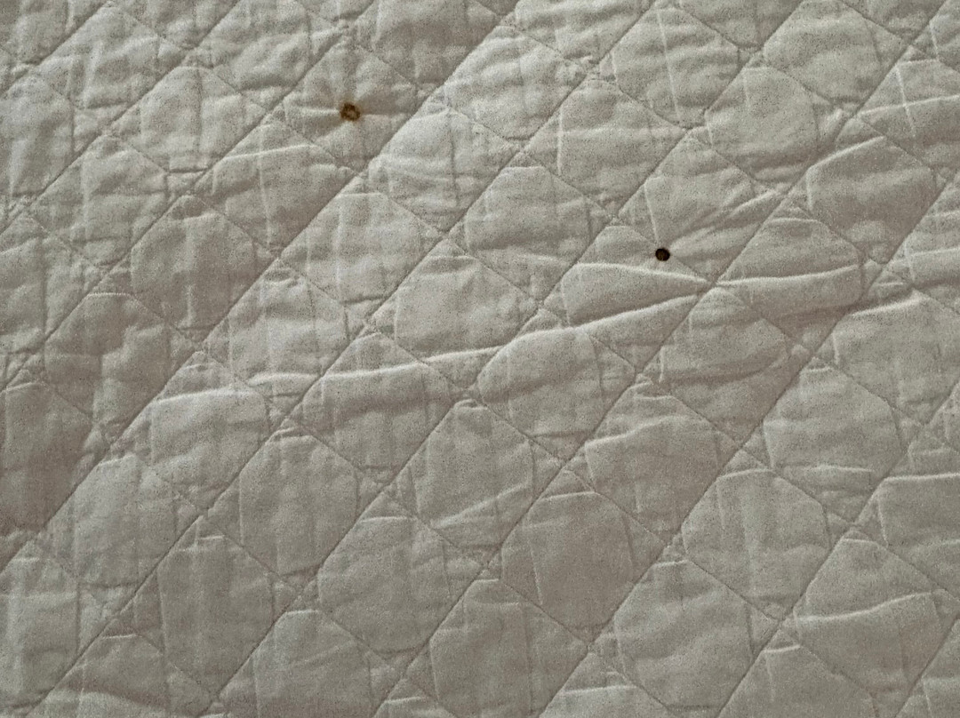 林肯新维多利亚套房酒店主图