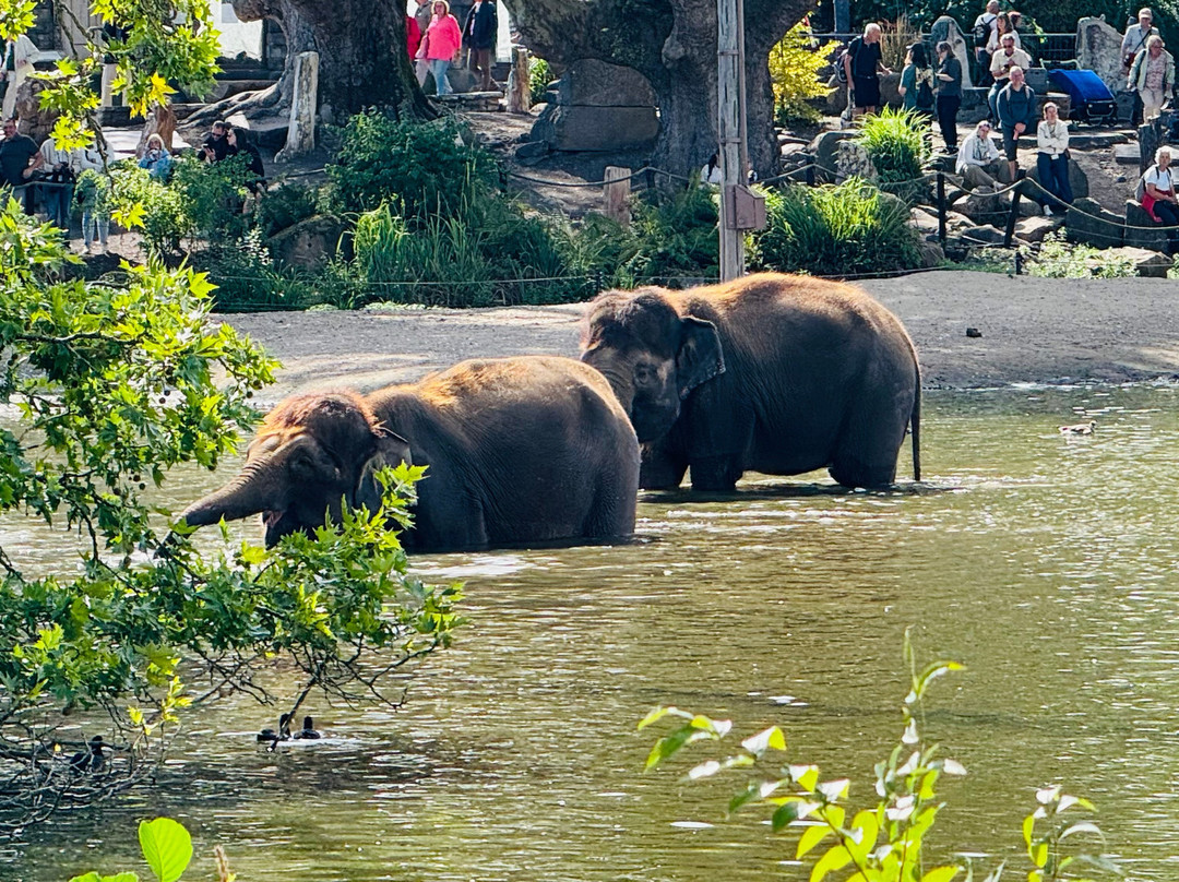 Pairi Daiza Resort主图