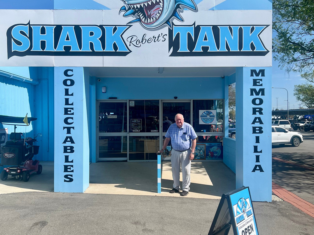 Robert's Shark Tank Young-Young必去景点