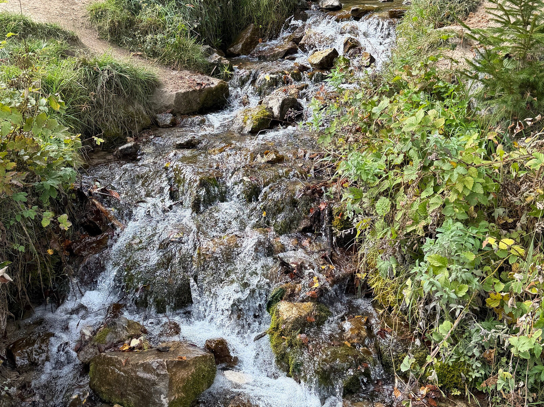 Wasserfall Dreimühlen-Uxheim必去景点
