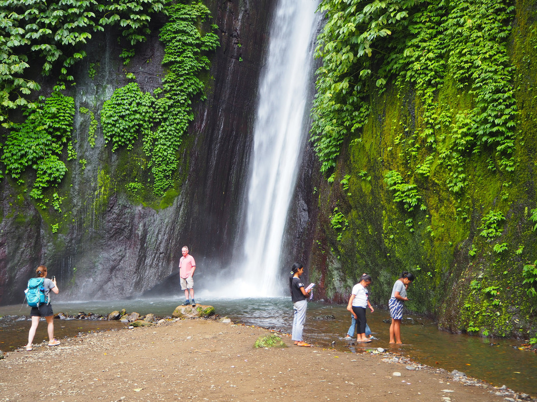 Menjangan Bali Driver Guide-佩母德兰必去景点