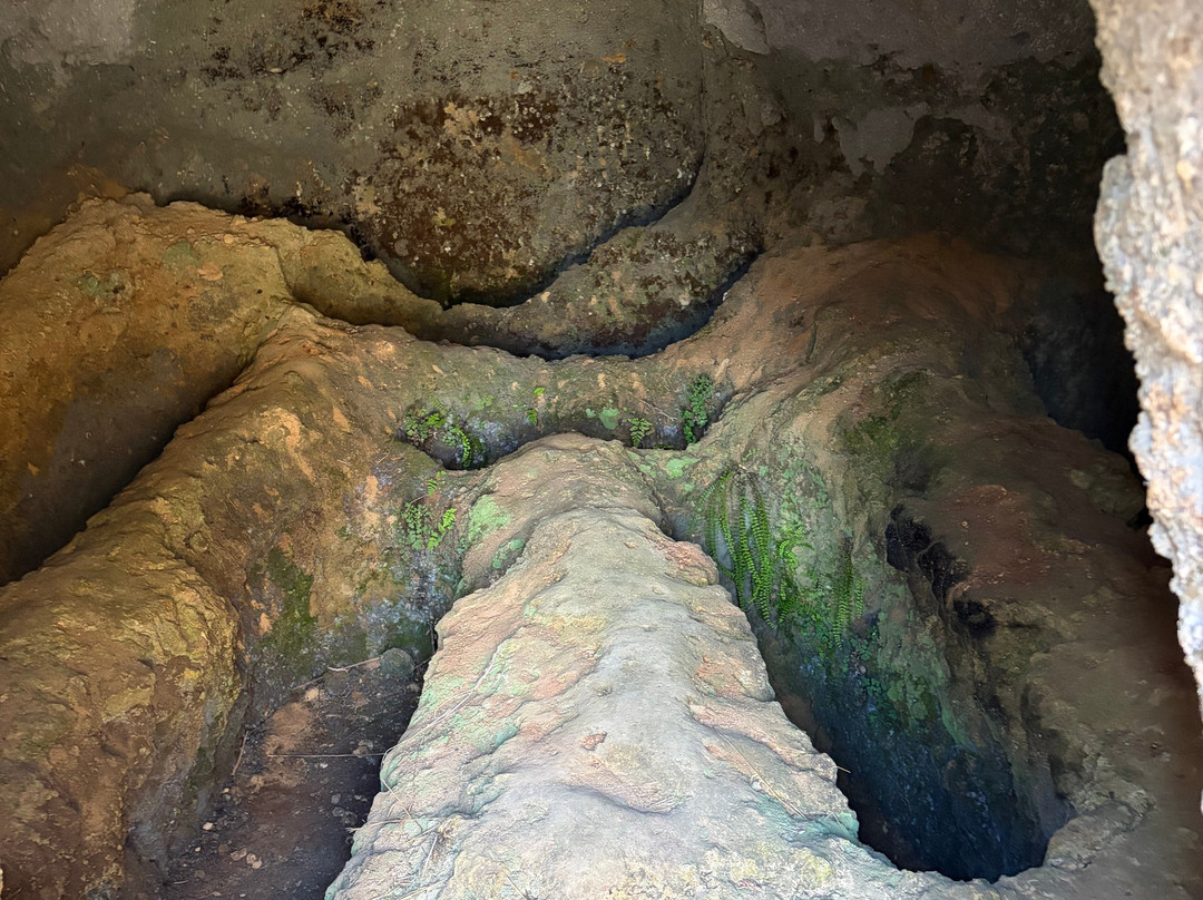 Mazarakata Mycenaean Cemetery-阿尔戈斯托利翁必去景点