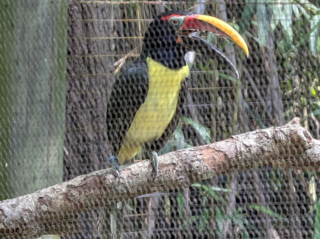 Salisbury Zoo-索尔兹伯里必去景点