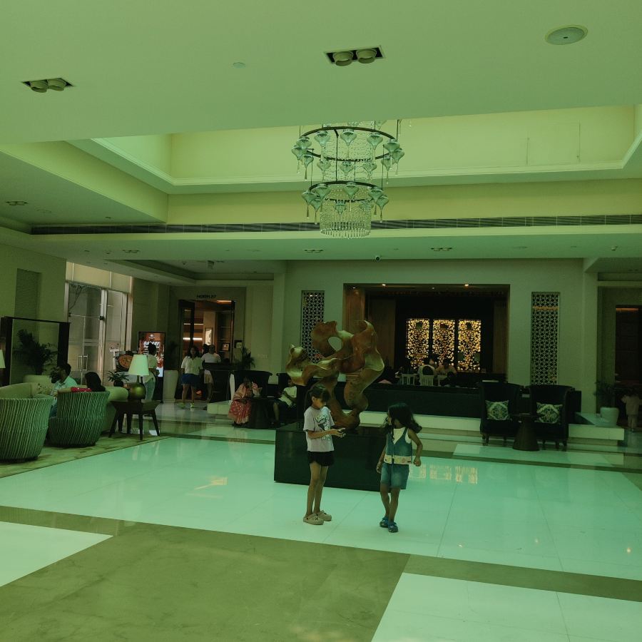 阿格拉希尔顿逸林酒店-旅行者