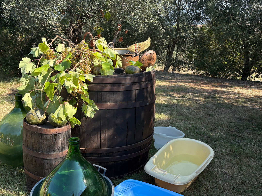 Fattoria Didattica Marilù-Veroli必去景点