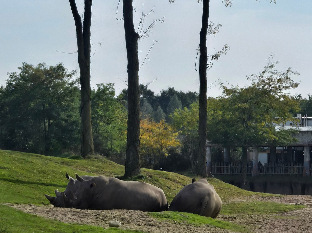 Wildlands Adventure Zoo Emmen-Emmen必去景点