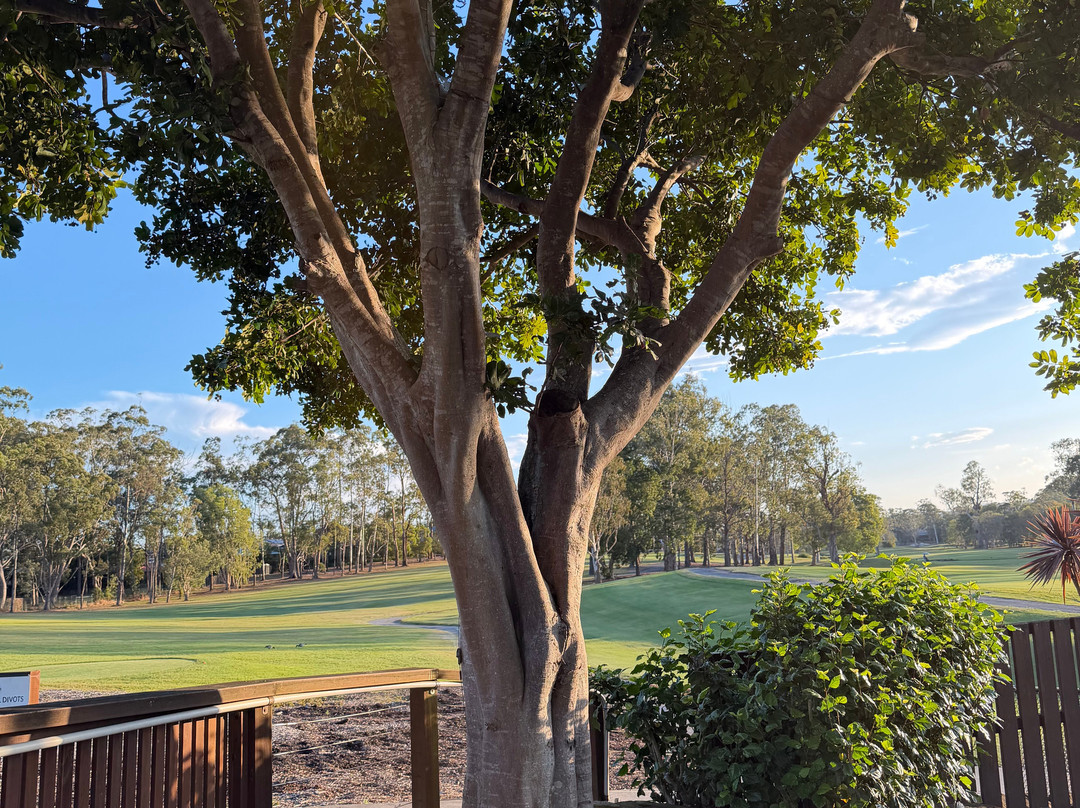 The Club at Parkwood Village-Parkwood必去景点