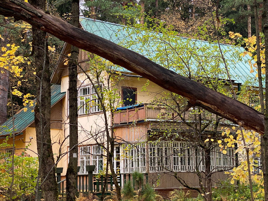 K. Chukovskiy's House Museum-Peredelkino必去景点