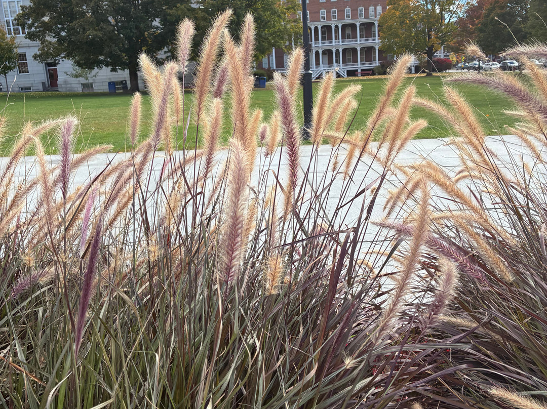 Vermont State House-蒙彼利埃必去景点