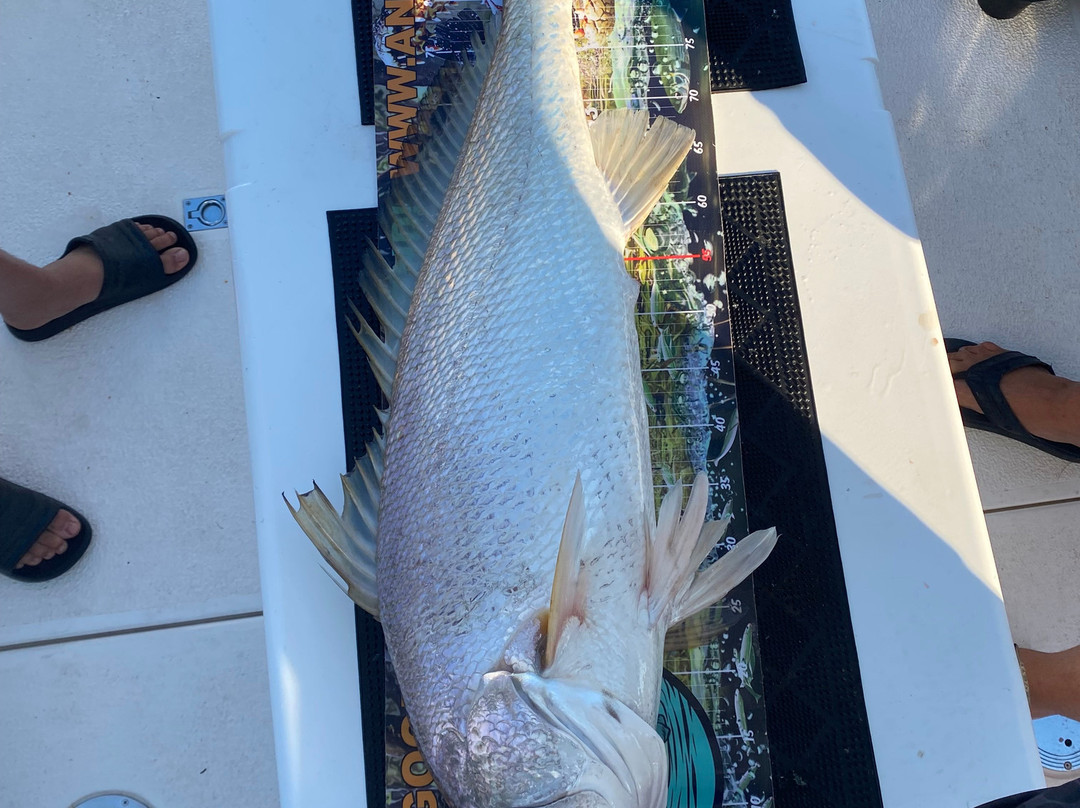 Equinox Fishing Charters-达尔文市必去景点
