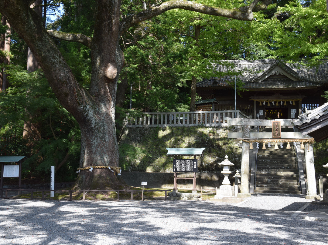 Kotonomama Hachimangu-挂川市必去景点