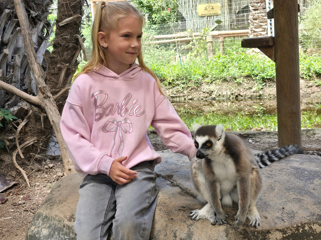 Cango Wildlife Ranch-奥兹洪必去景点