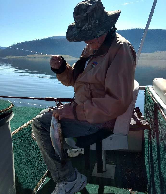Eagle Nest Cabins & Marina