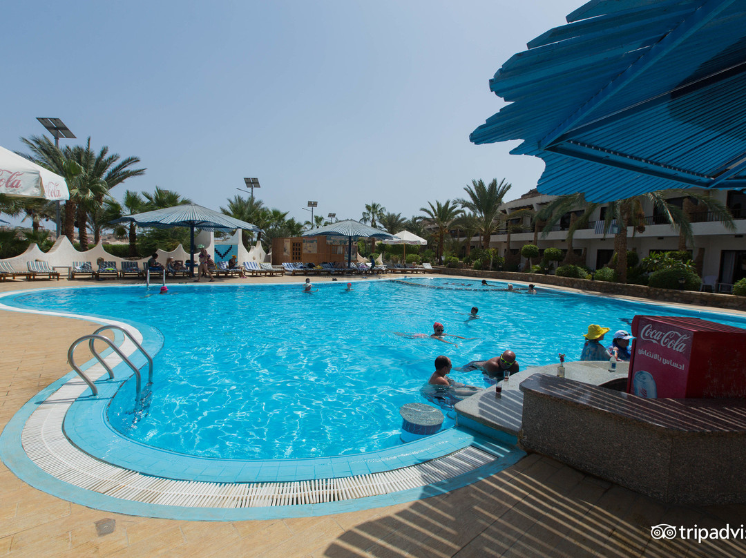 Ras Mohammed酒店住宿-Turquoise Beach Hotel