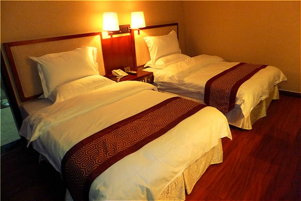 南海大酒店-客卧