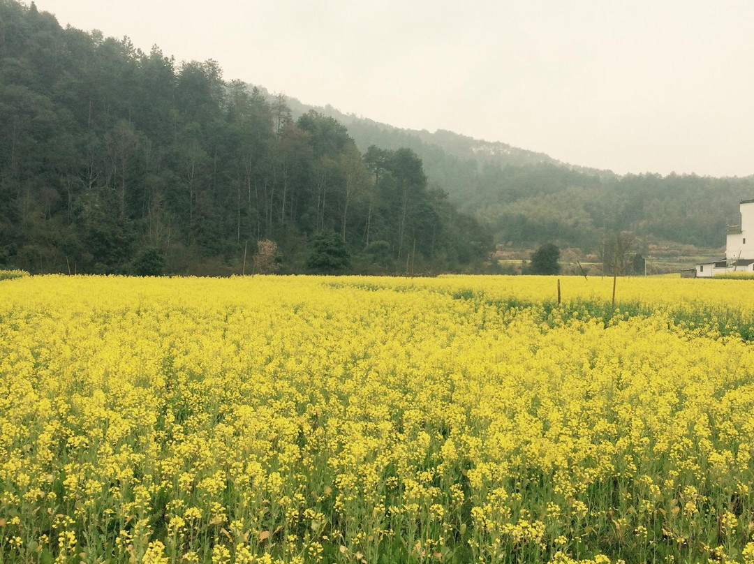 思溪温馨客馆主图