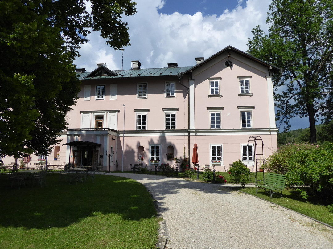 Zdikov酒店住宿-Schlosshotel Zdikov