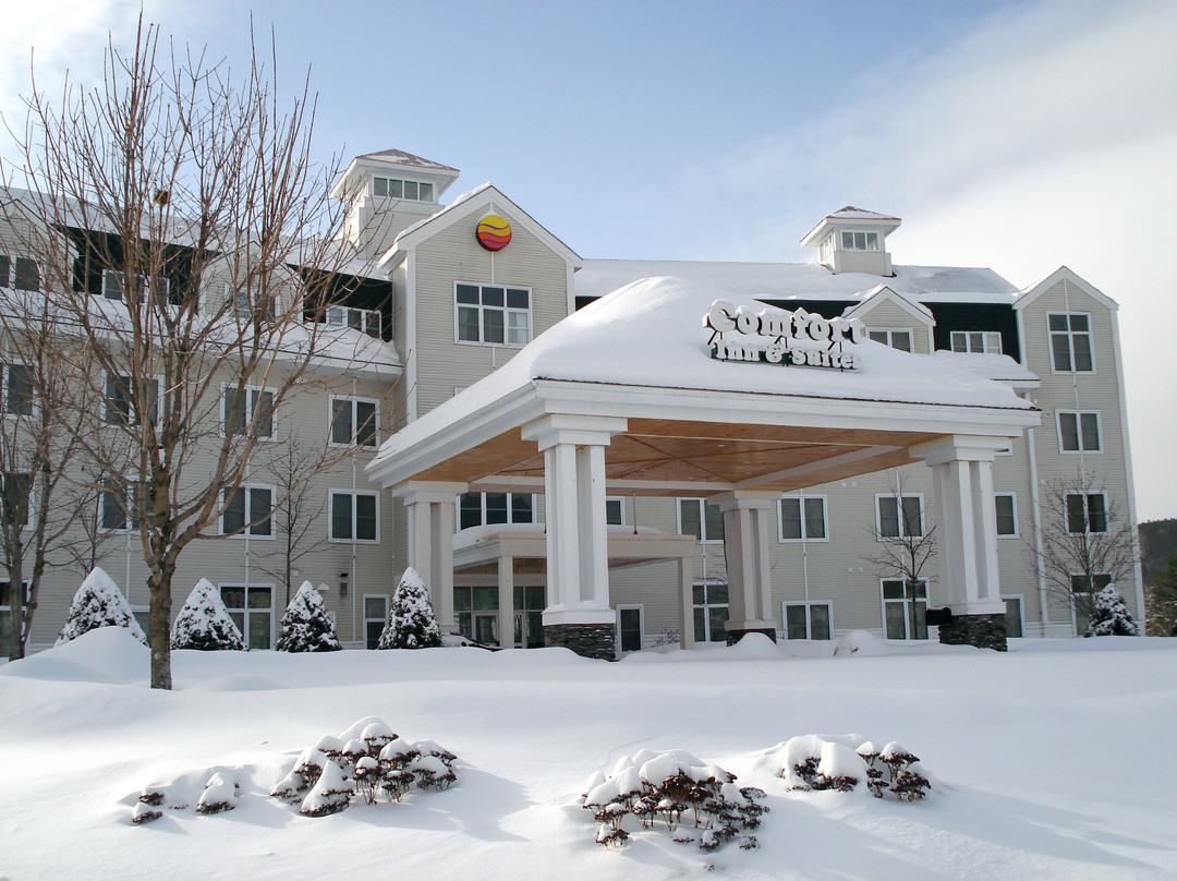 Comfort Inn & Suites Near Burke Mountain主图