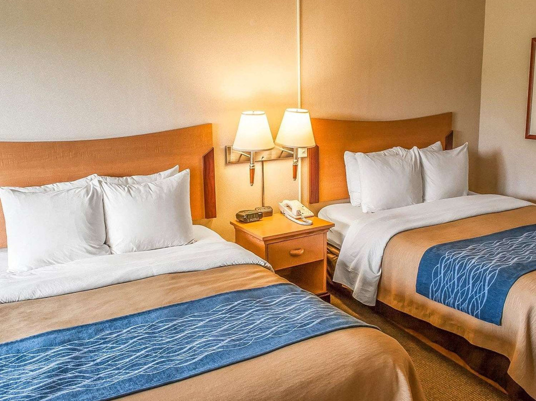 Comfort Inn and Suites主图