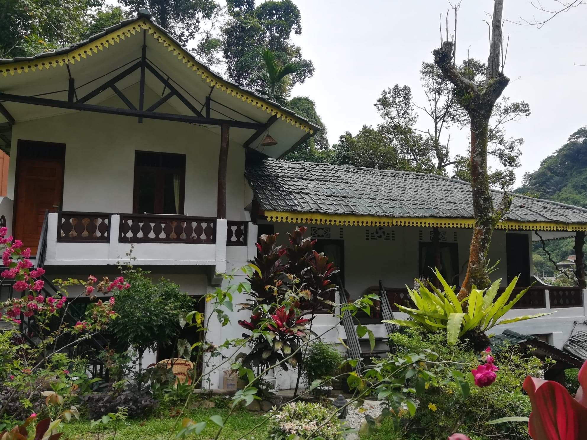 Soul Guesthouse Bukit Lawang-官方