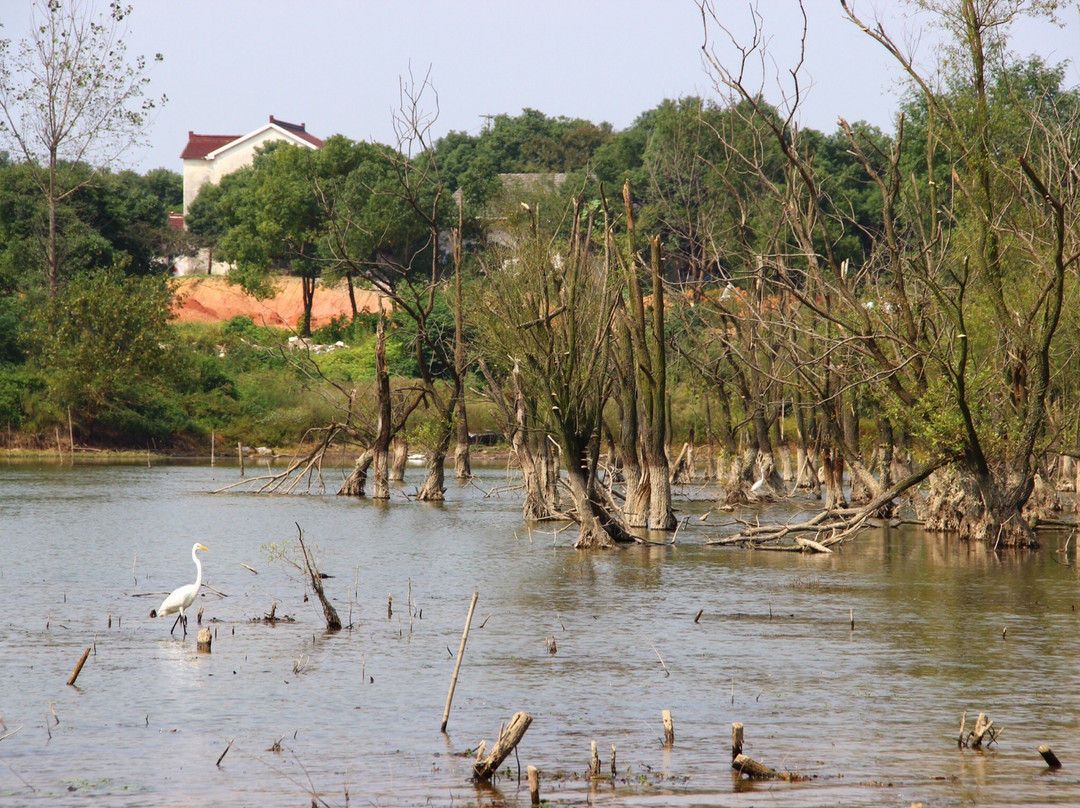长兴仙山-长兴必去景点