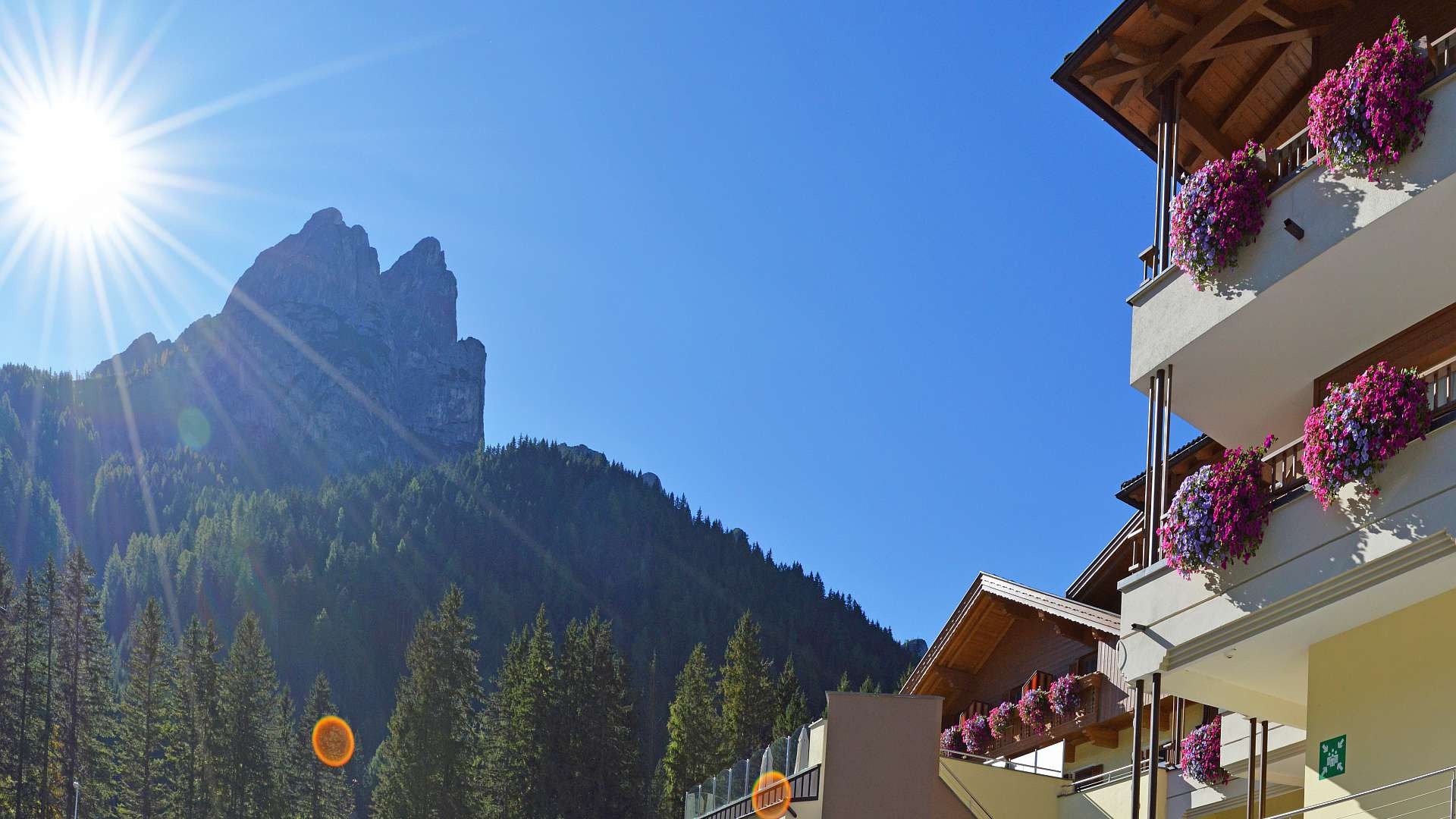 Hotel Trenker-官方